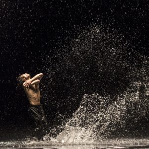 The Essence of Dance – The Living Dance