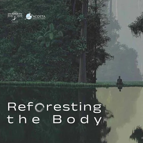 Medida sitio web movil reforesting plane (1)