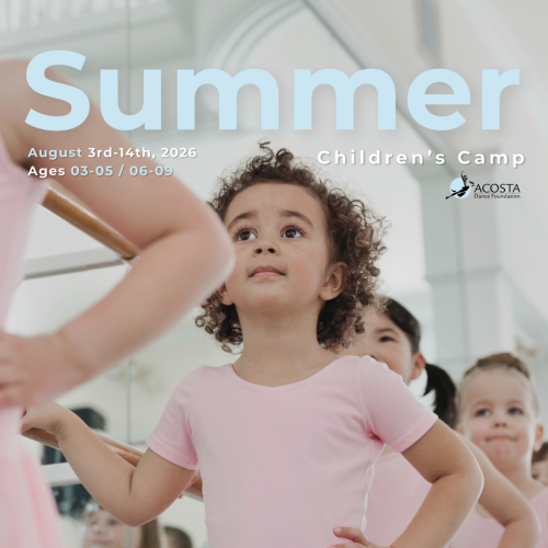 movil banner summer camp